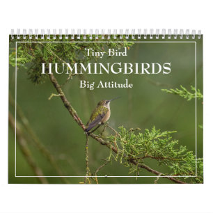 Hummingbird Pequeno Pássaro Grande Calendário de A