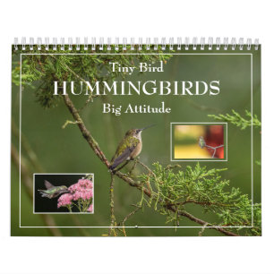 Hummingbird Pequeno Pássaro Grande Calendário de A