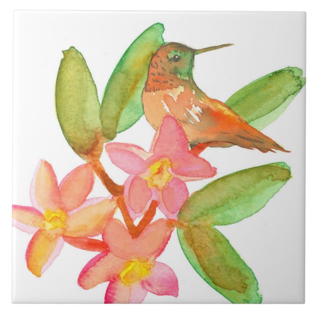 Hummingbird Plumeria Watercolor Flowers (Frente)
