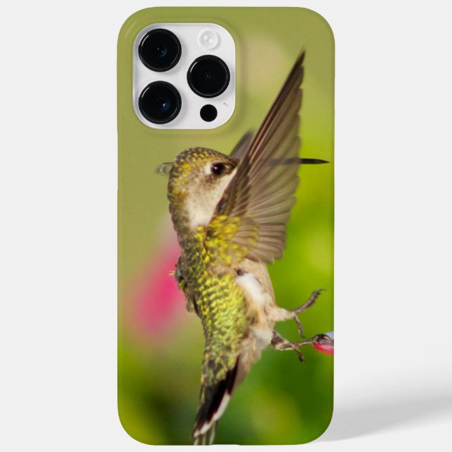 Hummingbird Trocado por Ruby (Verso)