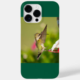 Hummingbird Trocado por Ruby