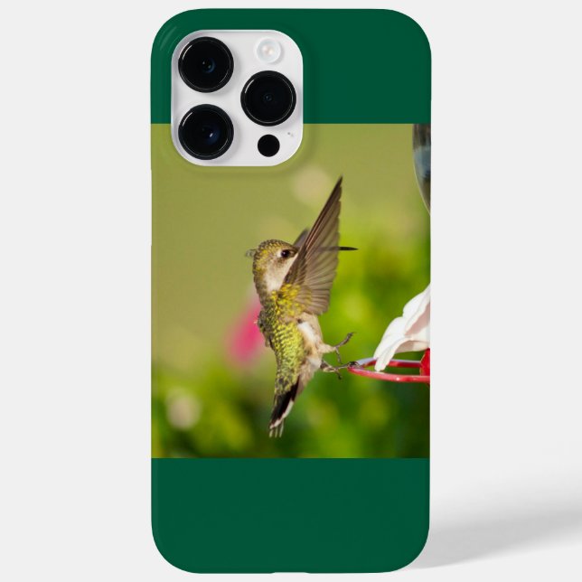 Hummingbird Trocado por Ruby (Verso)