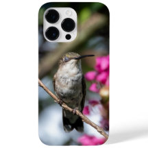 Hummingbird Trocado por Ruby