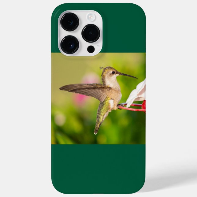 Hummingbird Trocado por Ruby (Verso)