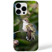 Hummingbird Trocado por Ruby