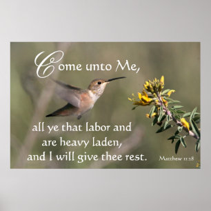 Hummingbird Vem A Jesus Impressão