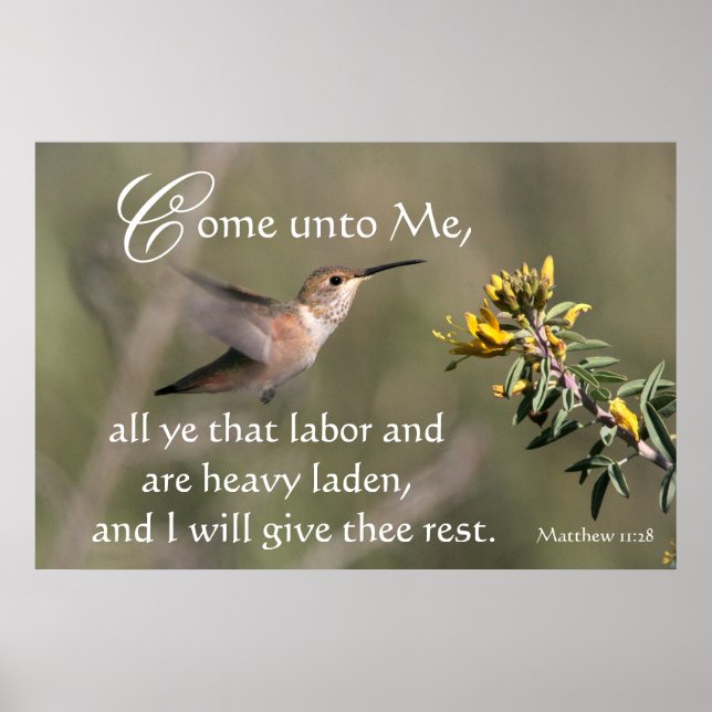 Hummingbird Vem A Jesus Impressão (Frente)