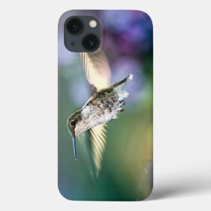 Hummingbird Voando