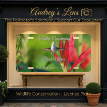 Hummingbird & Wildflower "Plant Natives" 