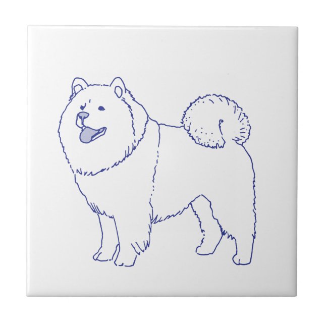 Hunderasse Chow-Chow (Frente)
