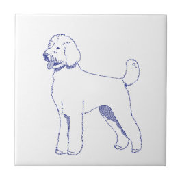 Hunderasse Goldendoodle