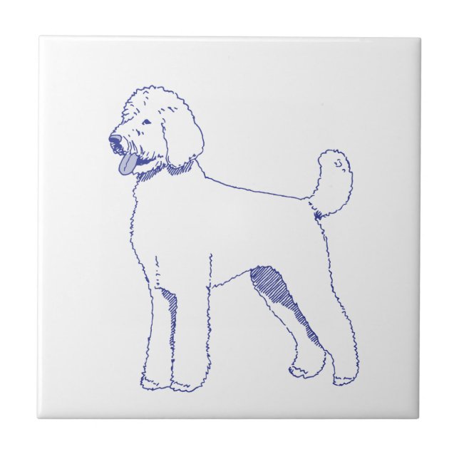 Hunderasse Goldendoodle (Frente)
