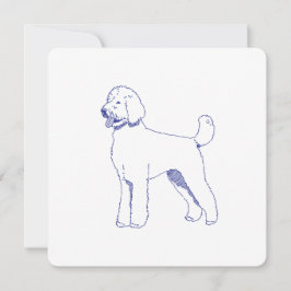 Hunderasse Goldendoodle