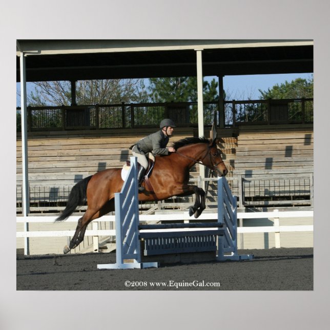 Hunter Jumper Poster 2 (Frente)