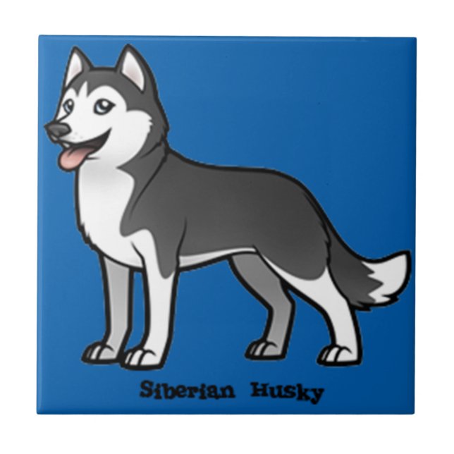 Husky Siberiano (Frente)