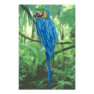 Hyacinth Macaw Design Foto Alargamento