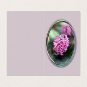 Hyacinth na primavera