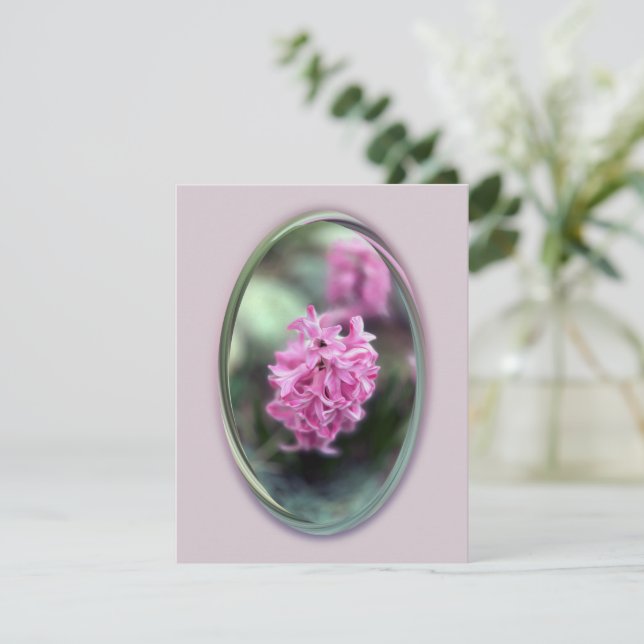 Hyacinth na primavera (Em pé/Frente)