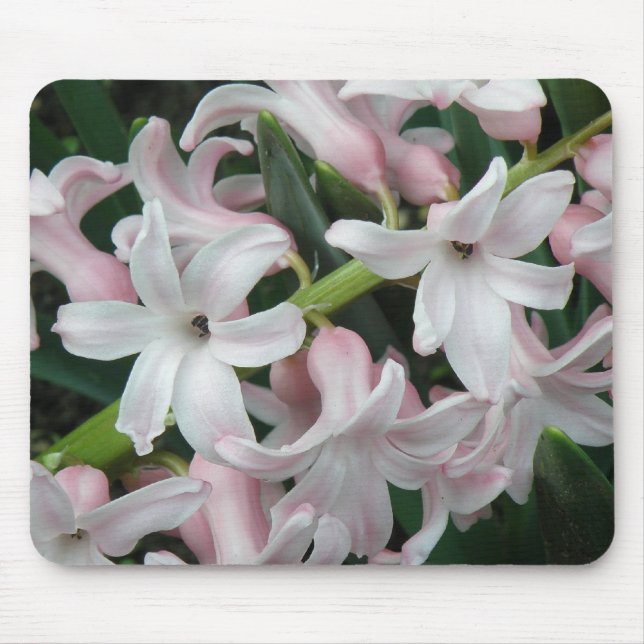 Hyacinths Mousepad (Frente)
