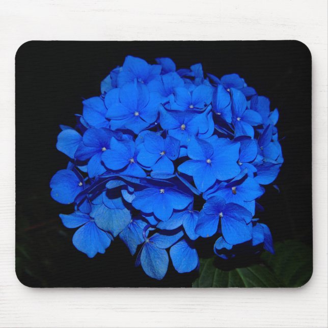 Hydrangea azul Mousepad (Frente)