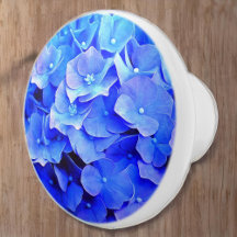 Hydrangea Blues