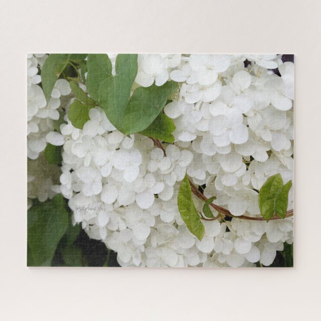 Hydrangea branca 16 x 20 Quebra-cabeça por jjhelen (Horizontal)