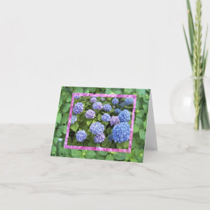Hydrangea! Cartão