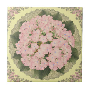 Hydrangea cor-de-rosa Blooms Azulejo cerâmico amar