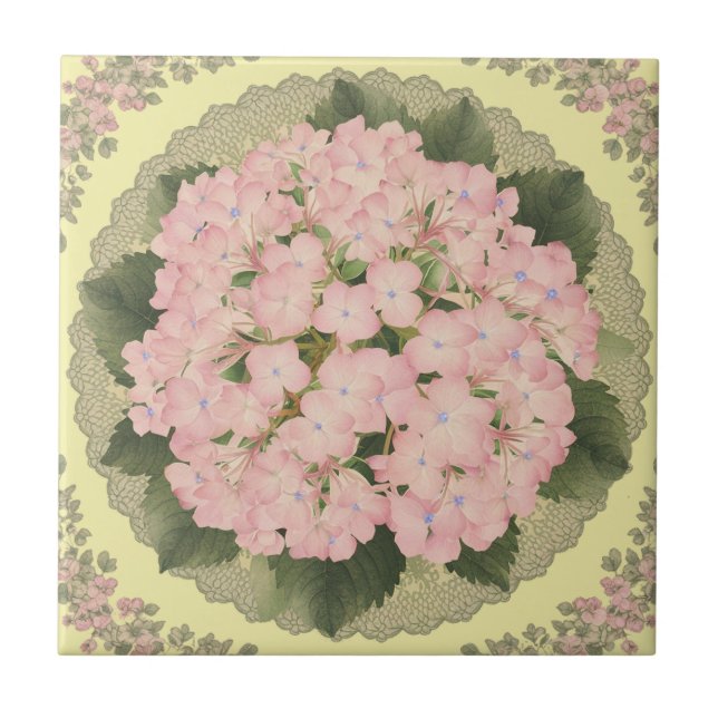 Hydrangea cor-de-rosa Blooms Azulejo cerâmico amar (Frente)