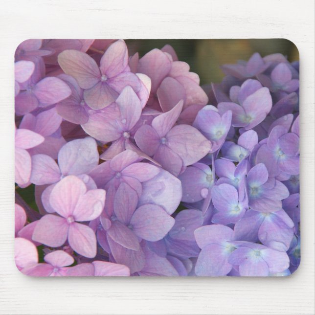 Hydrangea cor-de-rosa e roxo Mousepad (Frente)