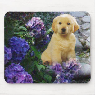 Hydrangea de Mousepad do golden retriever