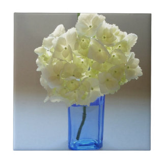 hydrangea do annabelle