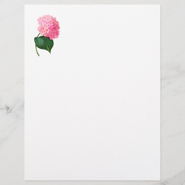 Hydrangea Letterhead (Frente)