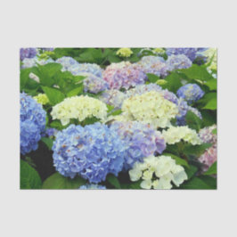 Hydrangea Mix-TISSUE WRAPPING PAPEL
