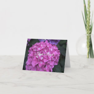 Hydrangea Obrigado Notas