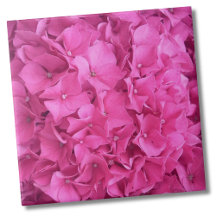 Hydrangea Pink Flower Pattern