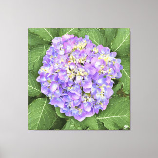 Hydrangea - Roxo - Impressão de Tela