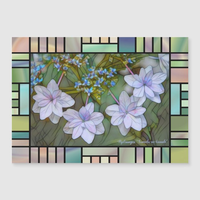 Hydrangea 'Sumida-no-hanabi'  [Magnet Card] (Frente)