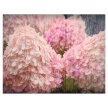 Hydrangea Vintage Blush Floral Cor-de-rosa Desumid