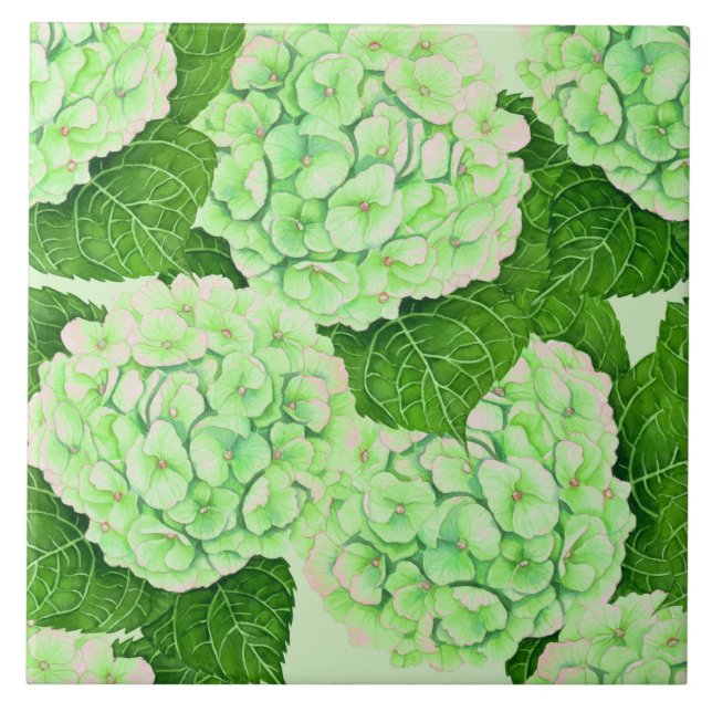 Hydrangea watercolor (Frente)