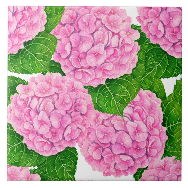 Hydrangea waterolage (Frente)