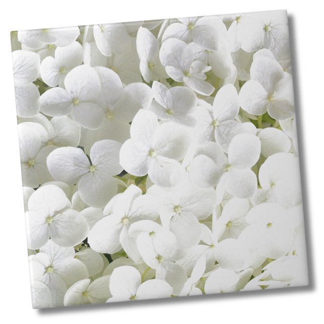 Hydrangea White Floral (Simple Elegant White Hydrangea Flower Floral Ceramic Tile)