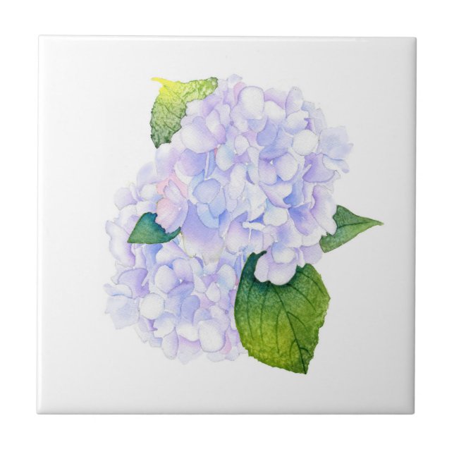 Hydrangeas de Aquarela (Frente)