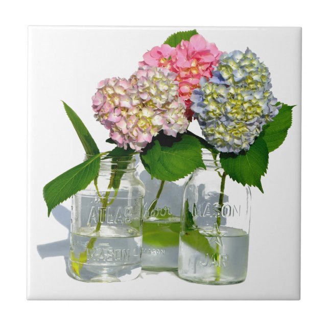 Hydrangeas e Mason jar (Frente)