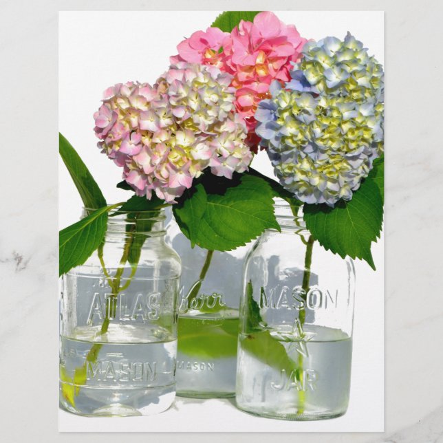 Hydrangeas e Mason jar (Frente)