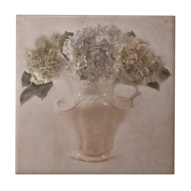 Hydrangeas Em Um Vaso (Frente)