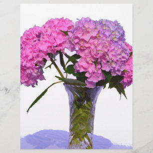 Hydrangeas Rosa e Azul
