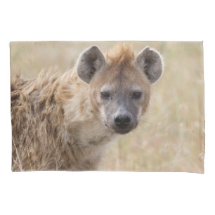 Hyena