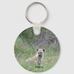 Hyena Chaveiro