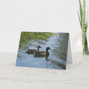 "Hyland May Day Mallards #1" Cartões de agradecime